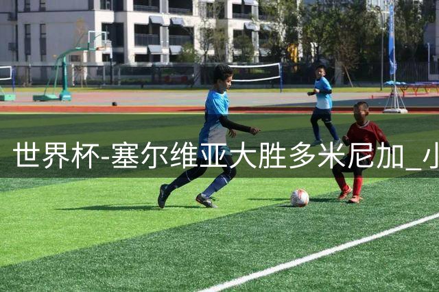 世界杯-塞尔维亚大胜多米尼加 小组第二进八强